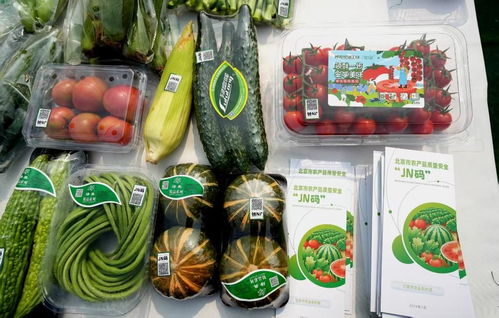 北京市優(yōu)質農產品擁有數(shù)字身份證 茶葉種植的質量安全新保障